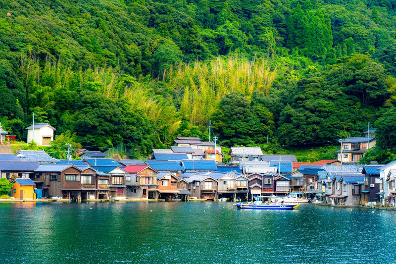Charming boathouses on the waterfront in Ine, Kyoto, surrounded by lush forests.