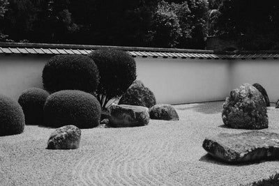 Black and white photo of a serene Zen rock garden in Kyoto, Japan, featuring rocks and shrubs.