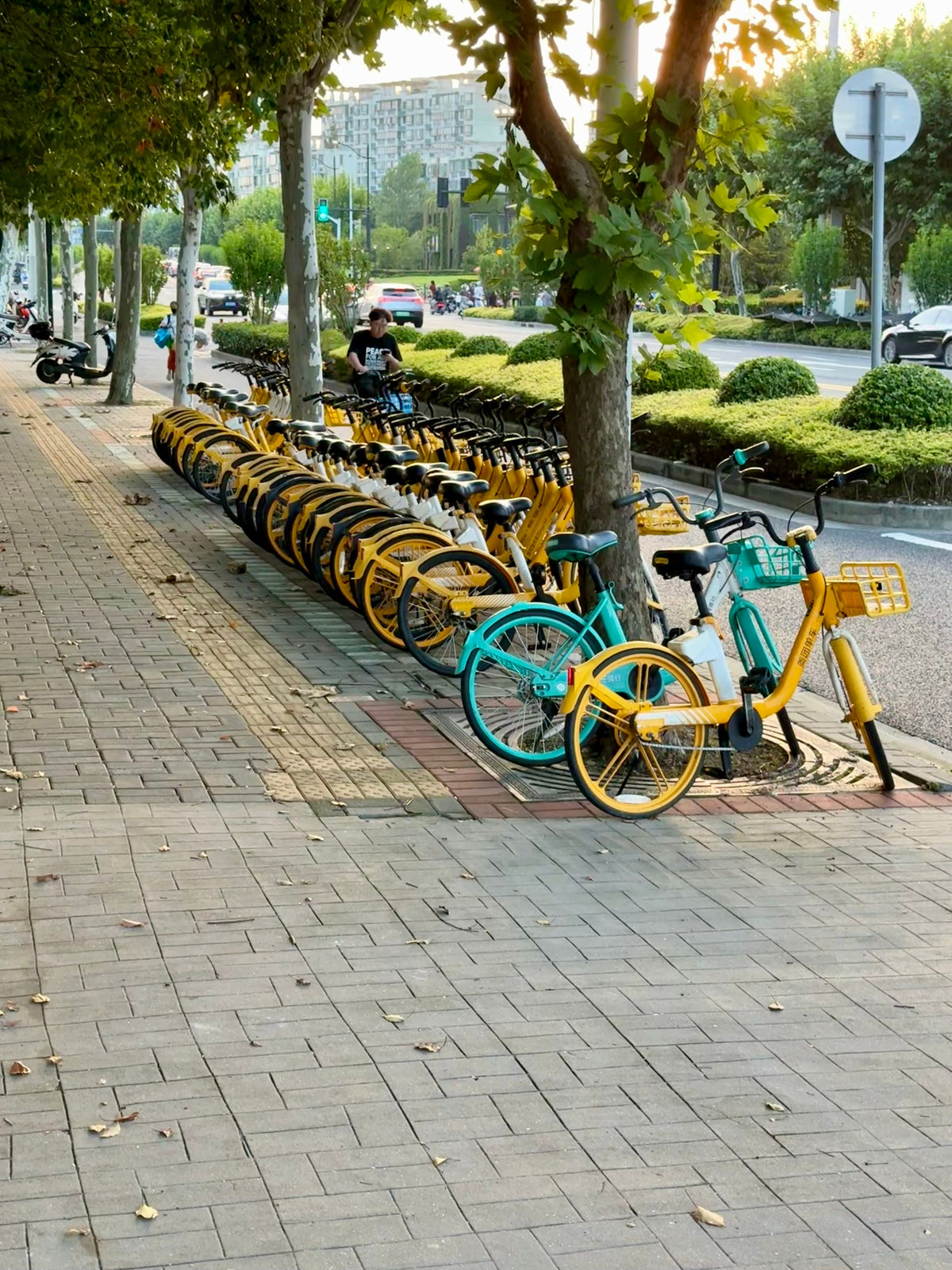 Red rental bike parked in a Japanese station with green background and text on stands.
