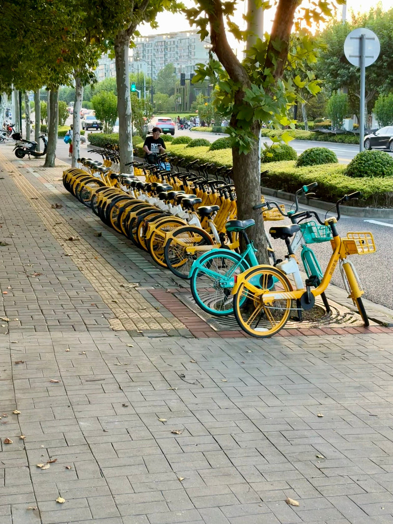 Red rental bike parked in a Japanese station with green background and text on stands.
