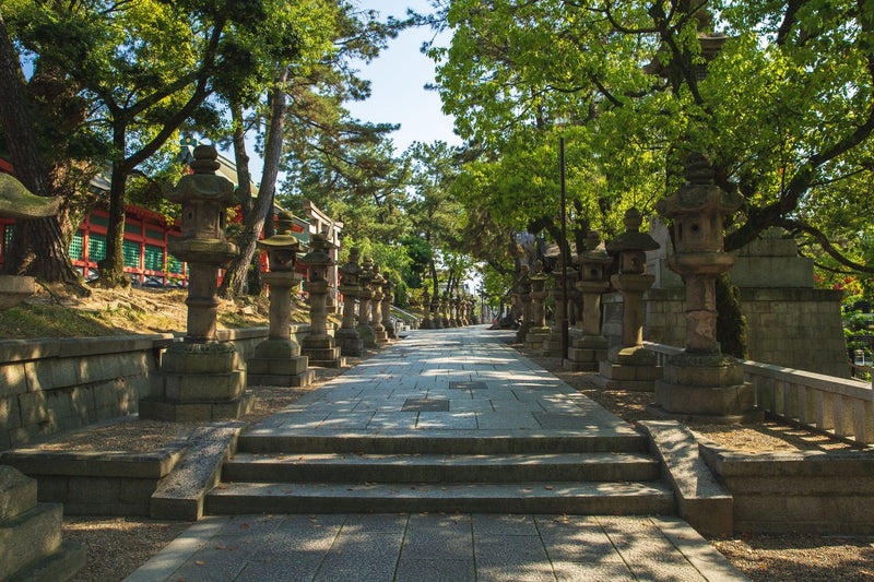 Empty stairs and concrete pathway surrounded by green trees and ancient oriental stone lantern in Japanese park on summer sunny day