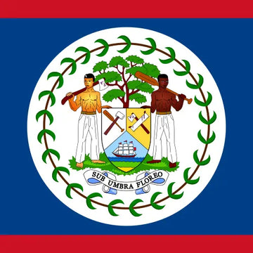 Belize eSIM — Go Mobly travel data plan