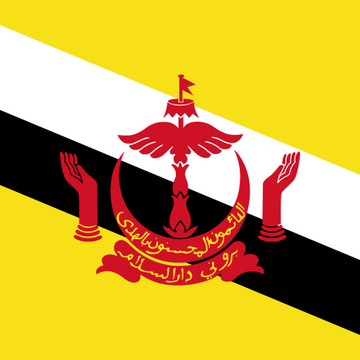 Brunei Darussalam eSIM — Gomobly travel data plan