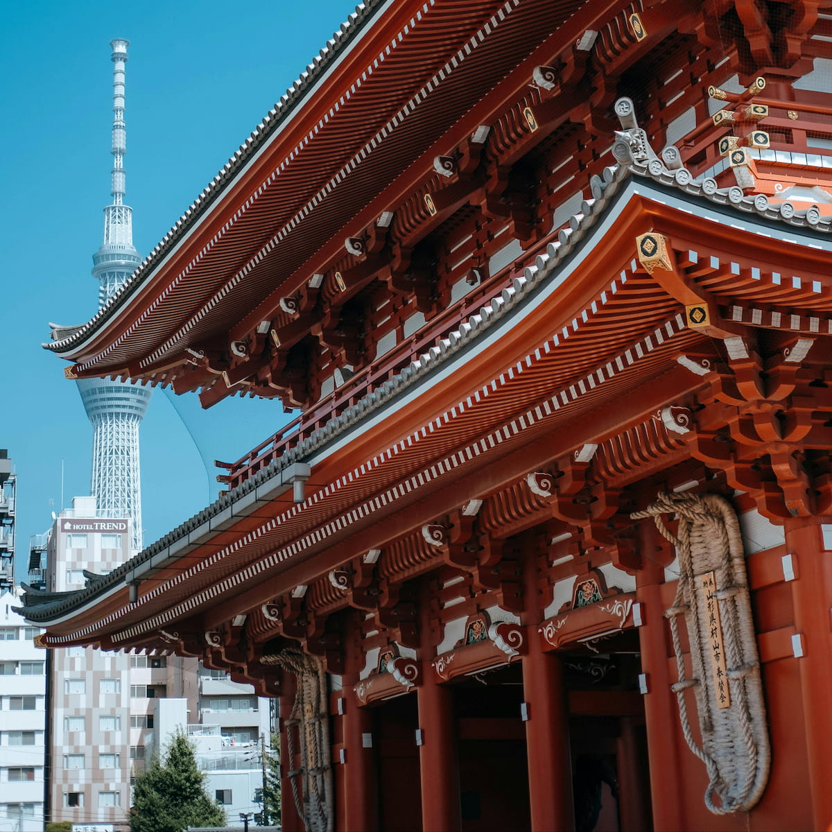 Japan eSIM Tokyo Senso-ji temple — Softbank and Docomo coverage